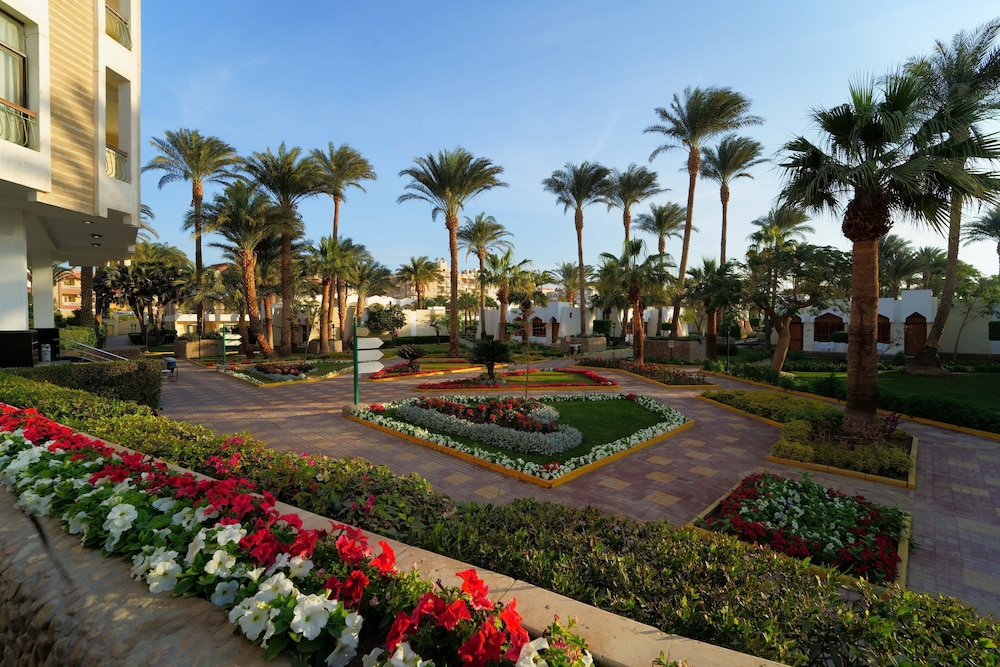 Regina Resort & Aqua Park Hurghada — View in Hurghada, Red Sea