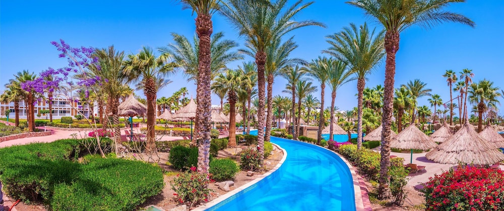 Pickalbatros Golf Beach Resort - All Inclusive — Swimming pool in Sharm El Sheikh, Red Sea