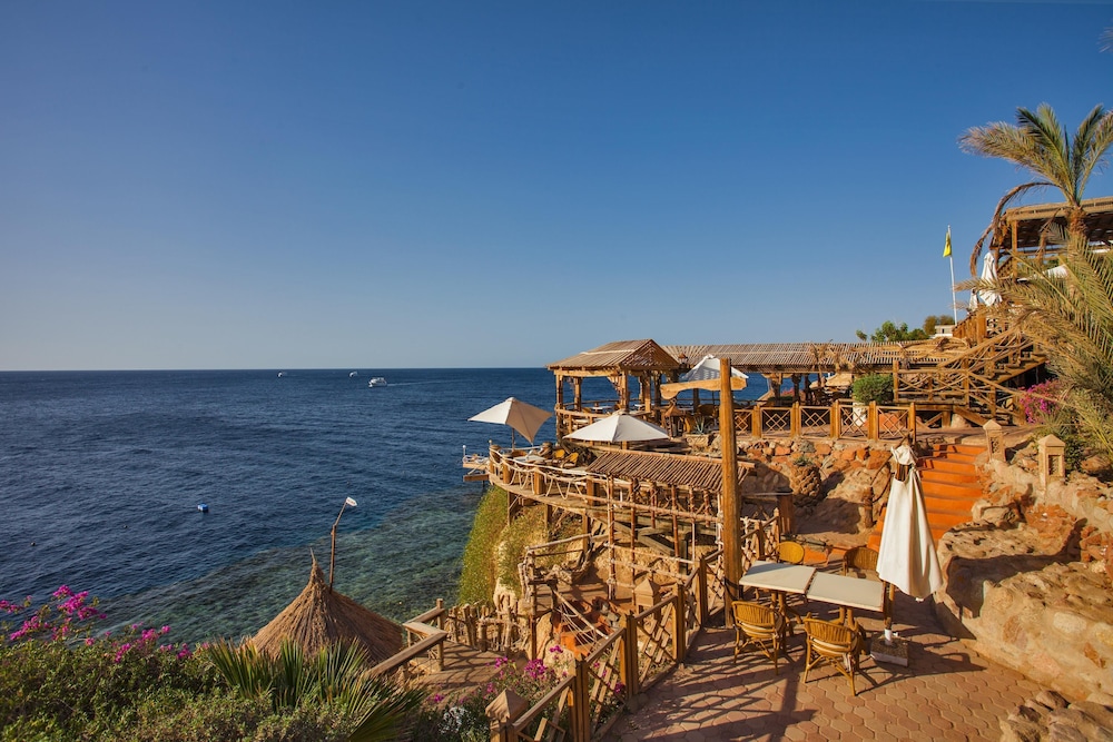 Pickalbatros Golf Beach Resort - All Inclusive — Restaurant & bars in Sharm El Sheikh, Red Sea