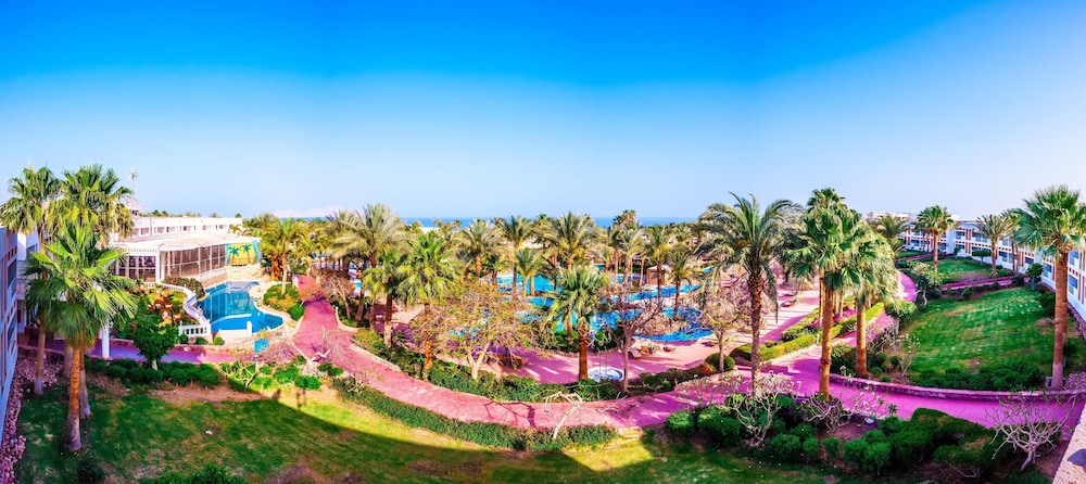 Pickalbatros Golf Beach Resort - All Inclusive — Swimming pool in Sharm El Sheikh, Red Sea