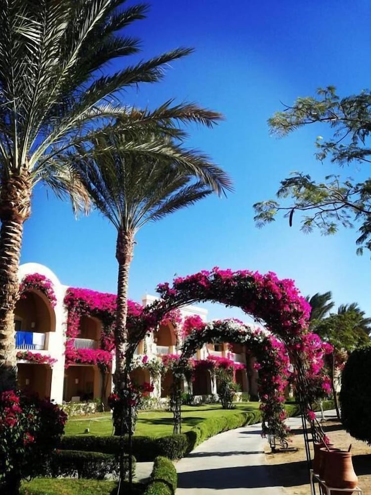 TUI MAGIC LIFE KALAWY - All inclusive — Hotel building in El Quseir, Red Sea