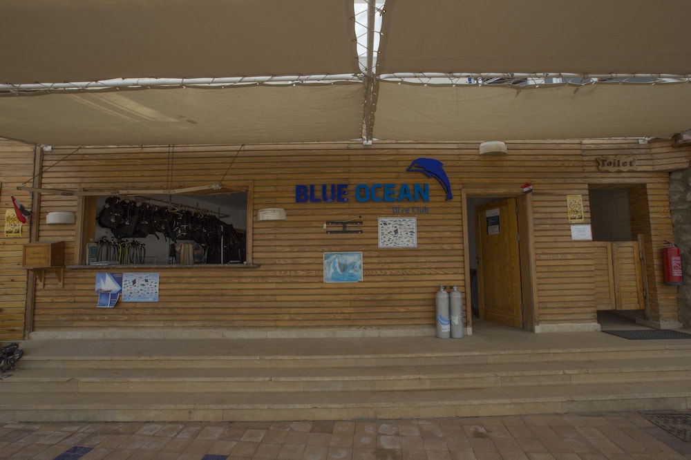 Lido Sharm Hotel Naama Bay — Sports & recreation in Sharm El Sheikh, Red Sea