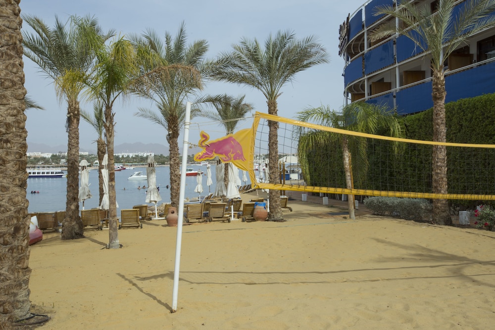 Lido Sharm Hotel Naama Bay — Beach in Sharm El Sheikh, Red Sea