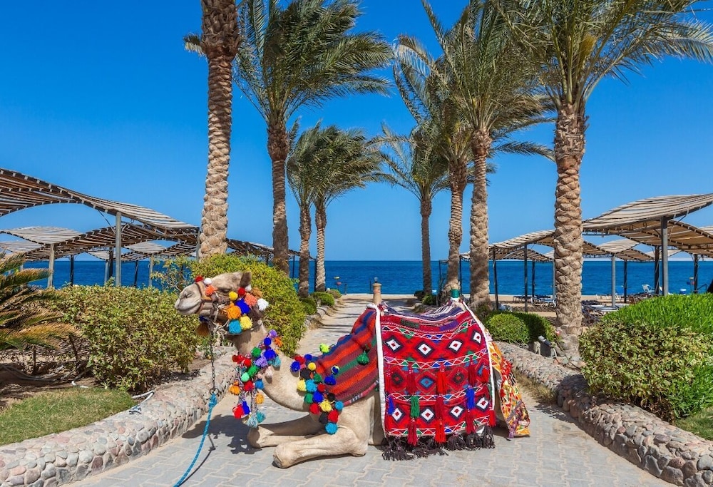 Sphinx Aqua Park Beach Resort - All Inclusive — Beach in Hurghada, Red Sea