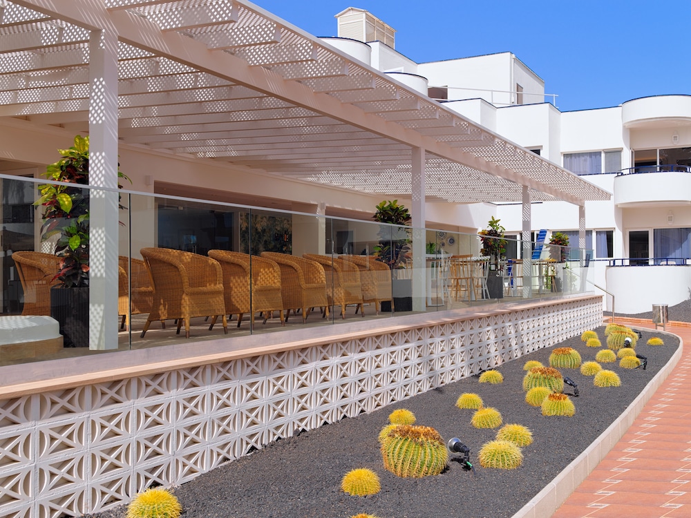 H10 Ocean Dunas - Adults Only — Restaurant & bars in Corralejo, Canary Islands