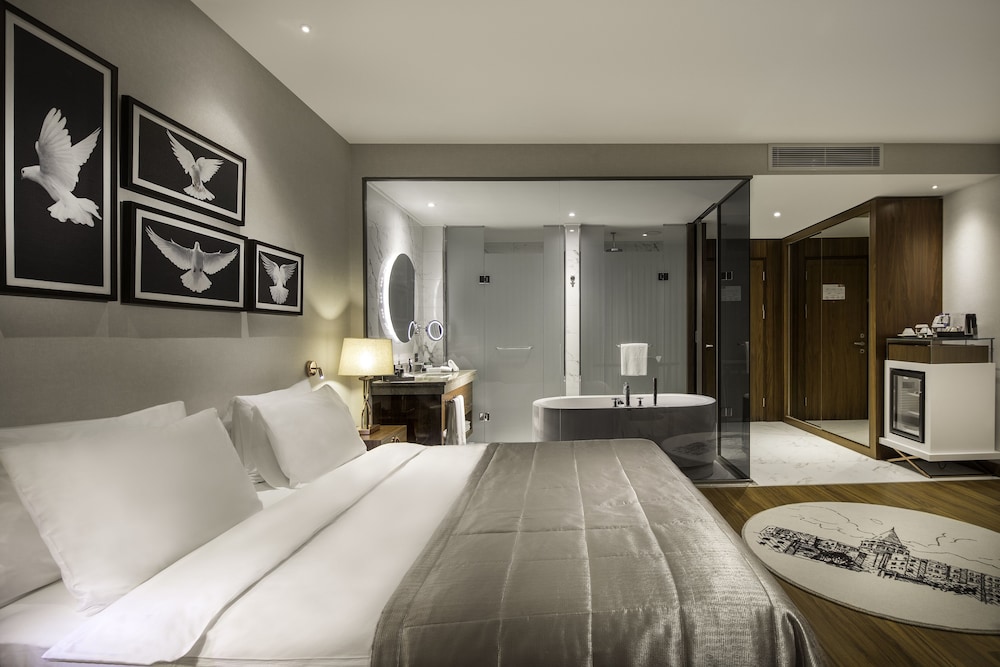 Lionel Hotel Istanbul — Hotel rooms in Istanbul, Istanbul