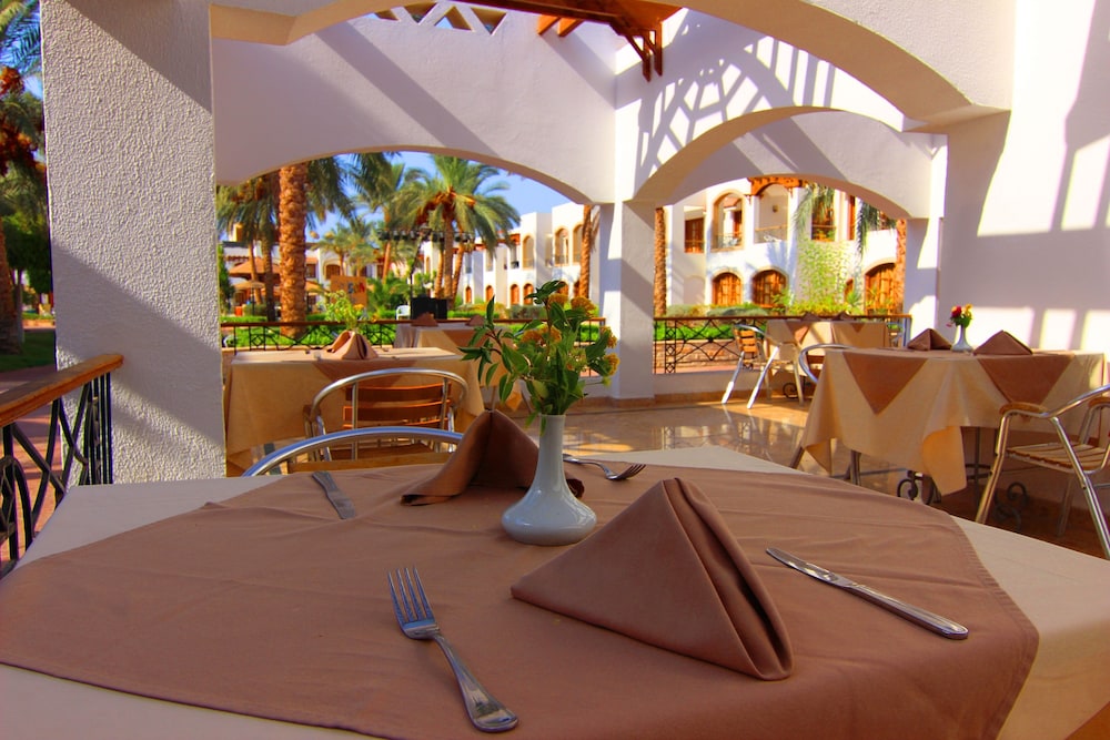 Coral Hills Resort — Restaurant & bars in Sharm El Sheikh, Red Sea