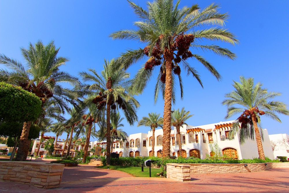 Coral Hills Resort — Hotel building in Sharm El Sheikh, Red Sea