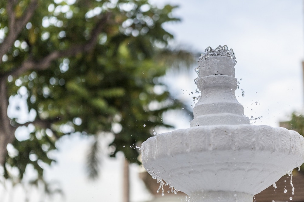 Hotel Colón Guanahaní Adults Only — Attractions in the area in Costa Adeje, Canary Islands
