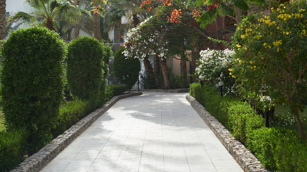 Bel Air Azur Resort - Adults Only — Outdoor in Hurghada, Red Sea