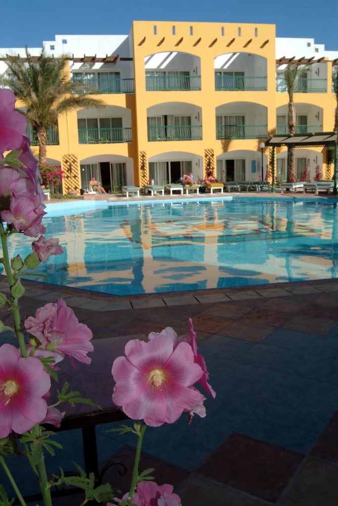 Bel Air Azur Resort - Adults Only — Pool in Hurghada, Red Sea