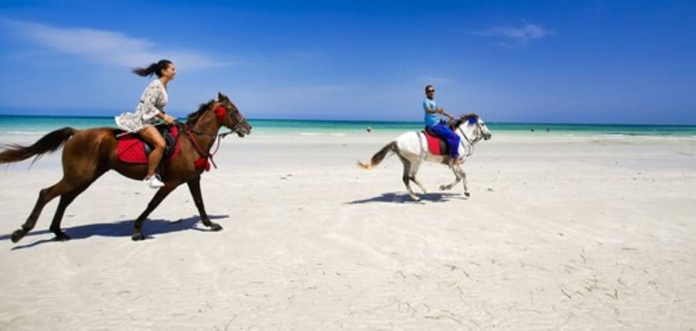 Djerba Plaza Thalasso & Spa — Beach in Aghir, Medenine