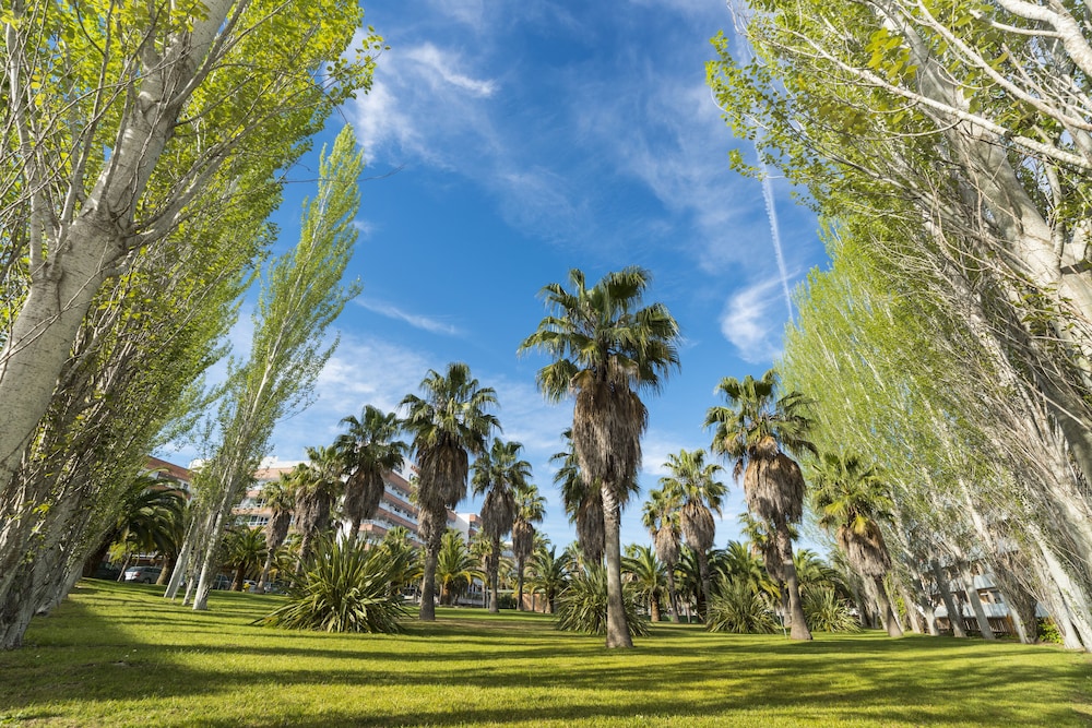Costa Encantada Suites & Resort — Attractions in the area in Lloret de Mar, Catalonia