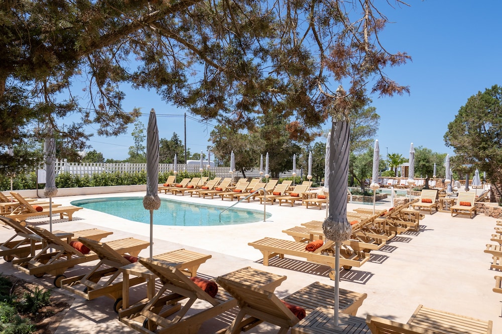 TRS Ibiza Hotel - Adults Only +16 — Swimming pool in Cala Gracio, Balearic Islands