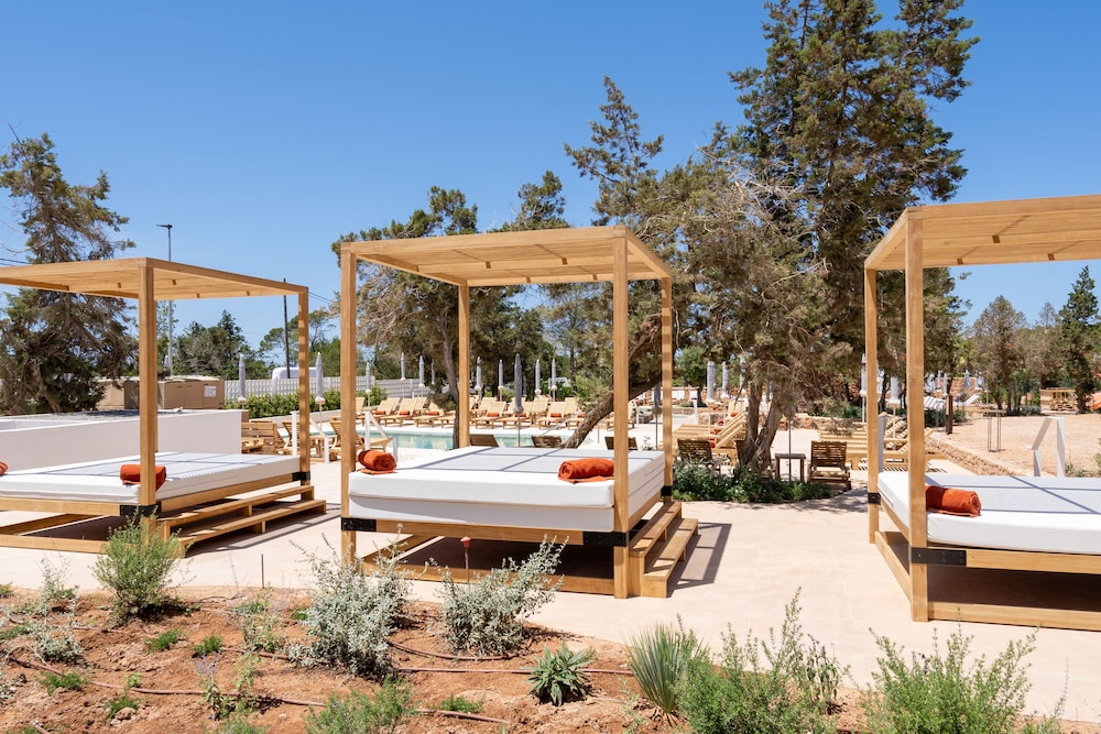TRS Ibiza Hotel - Adults Only +16 — Swimming pool in Cala Gracio, Balearic Islands