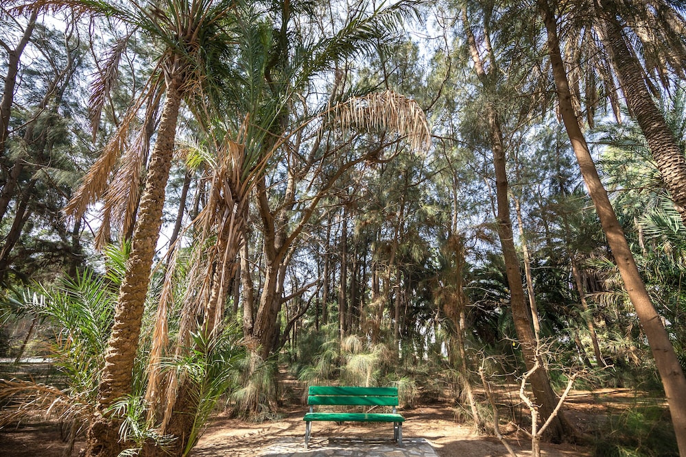 Marhaba Royal Salem — Attractions in the area in Sousse, Sousse