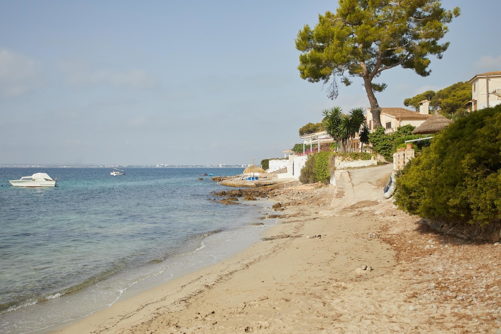 Hotel Inmood Aucanada - Adults Only — Beach in Alcudia, Balearic Islands