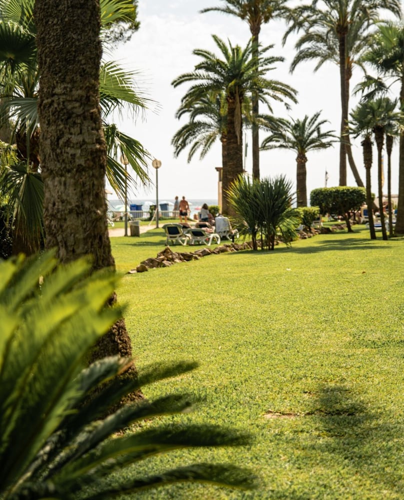 Hotel Condesa Mallorca — Beach in Alcudia, Balearic Islands
