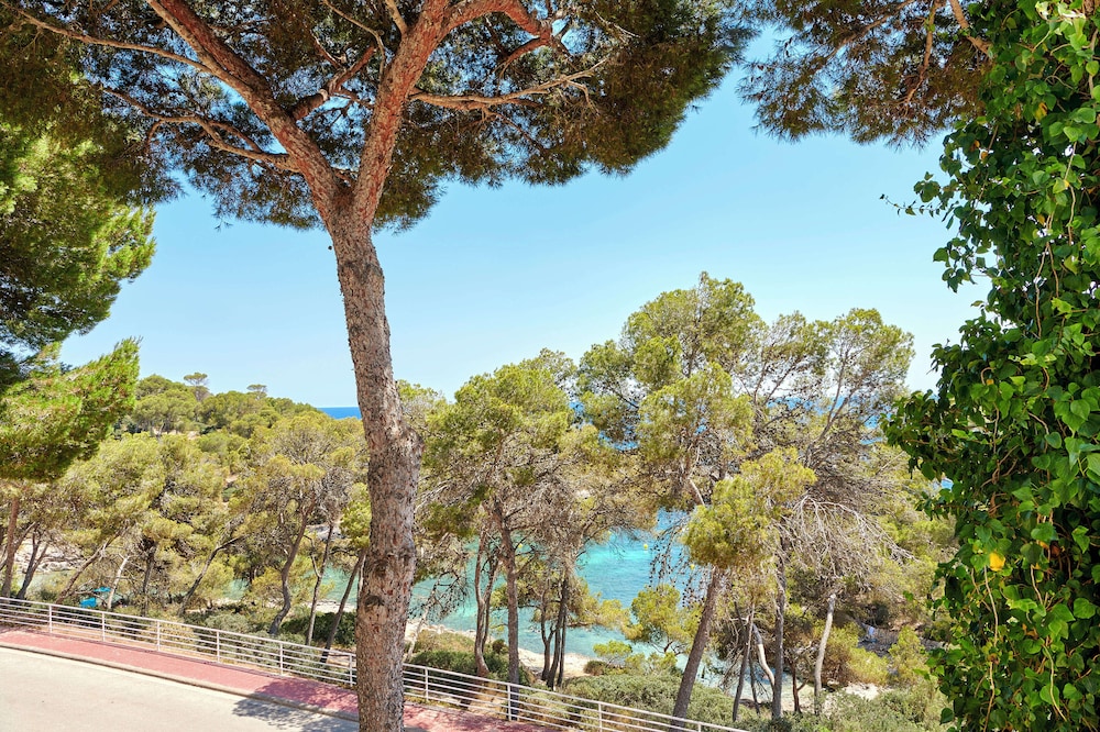Iberostar Waves Club Cala Barca - All inclusive — Attractions in the area in Portopetro, Balearic Islands