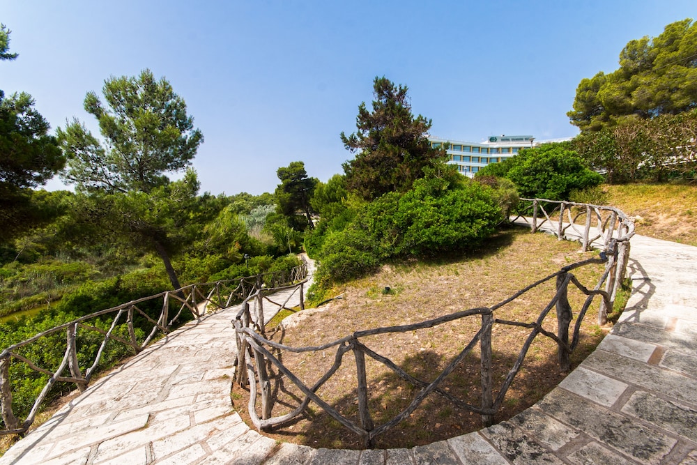 Hotel Exagon Park — Attractions in the area in Can Picafort, Balearic Islands