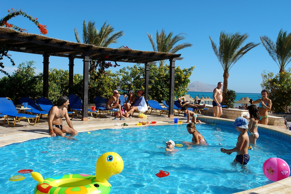 JAZ Belvedere - All Inclusive — Swimming pool in Sharm El Sheikh, Red Sea