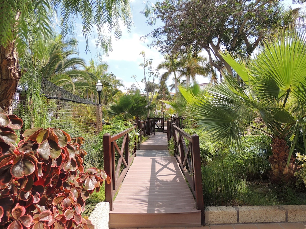 Park Club Europe - All Inclusive — Attractions in the area in Playa de las Americas, Canary Islands
