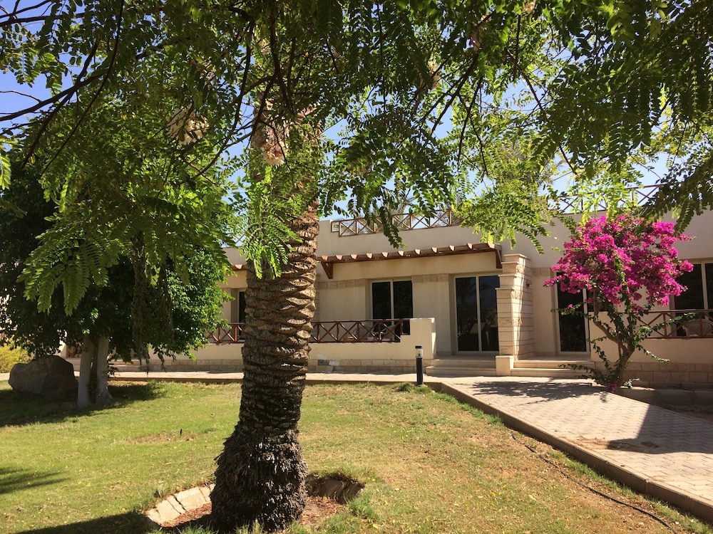 Hurghada Coral Beach Hotel — Hotel building in Hurghada, Red Sea