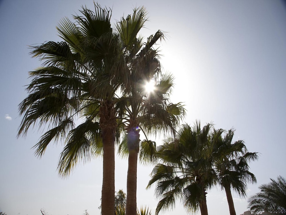 Hurghada Coral Beach Hotel — Attractions in the area in Hurghada, Red Sea