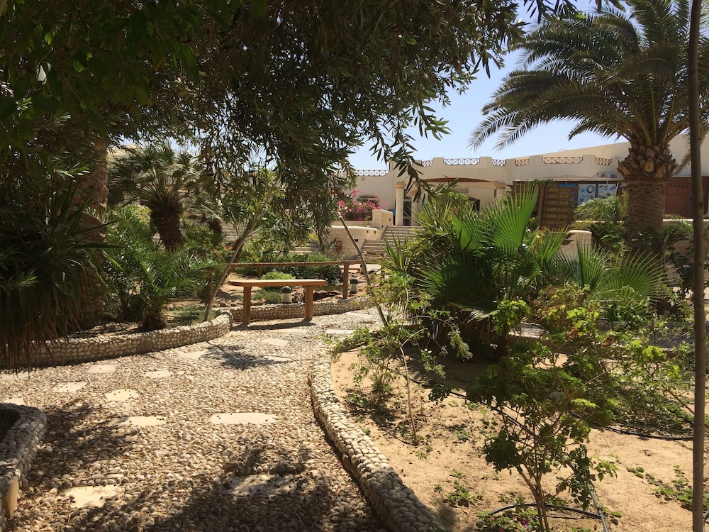 Hurghada Coral Beach Hotel — Hotel building in Hurghada, Red Sea