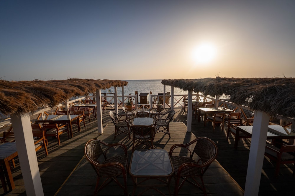 JAZ Elite Makadi — Restaurant & bars in Makadi Bay, Red Sea