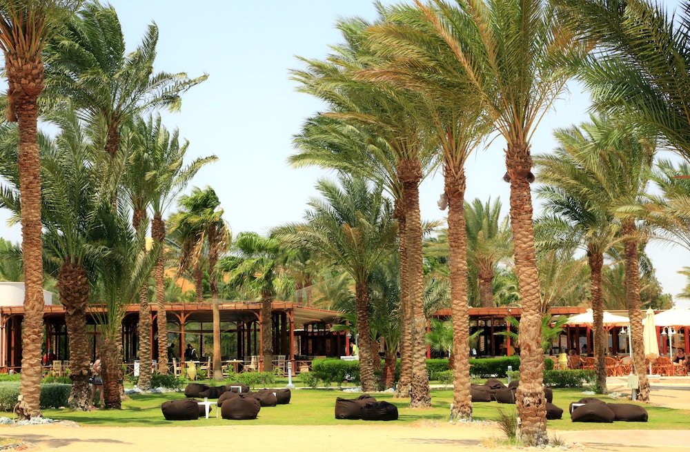 JAZ Elite Makadi — Hotel building in Makadi Bay, Red Sea