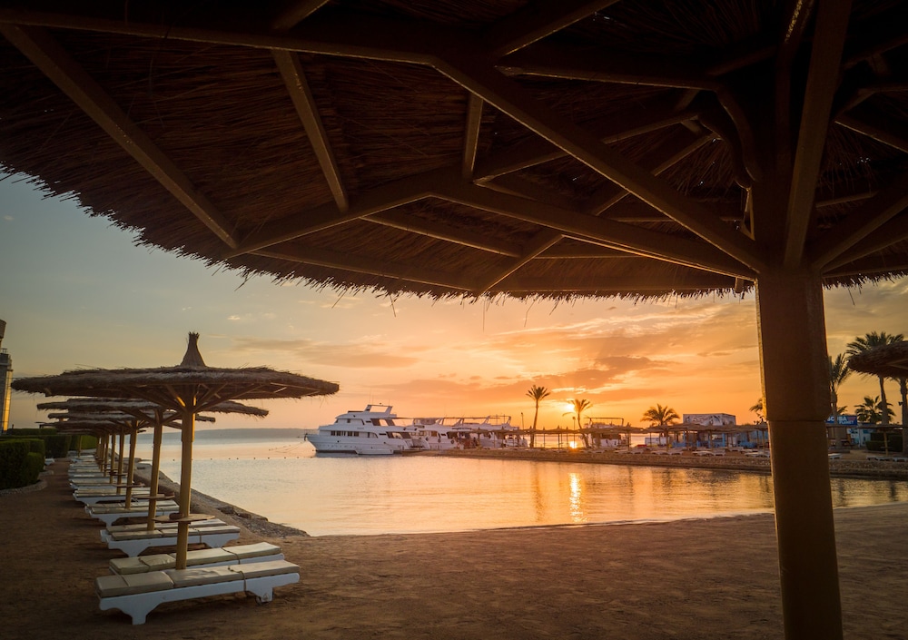 Seagull Beach Resort Families & Couples Only - All Inclusive — Beach in Hurghada, Red Sea