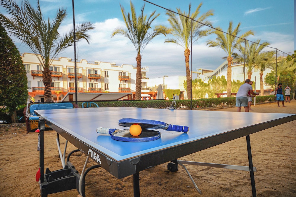 Falcon Naama Star Hotel — On-site activities in Sharm El Sheikh, Red Sea