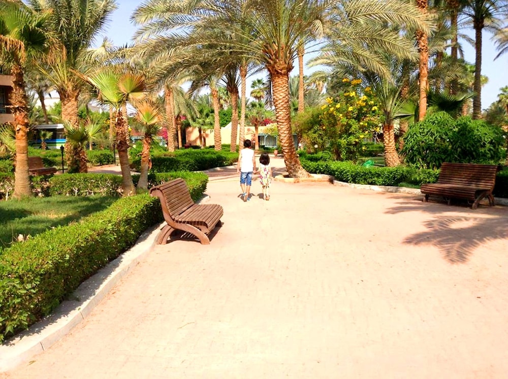 Giftun Azur Resort - All inclusive — Attractions for children in Hurghada, Red Sea