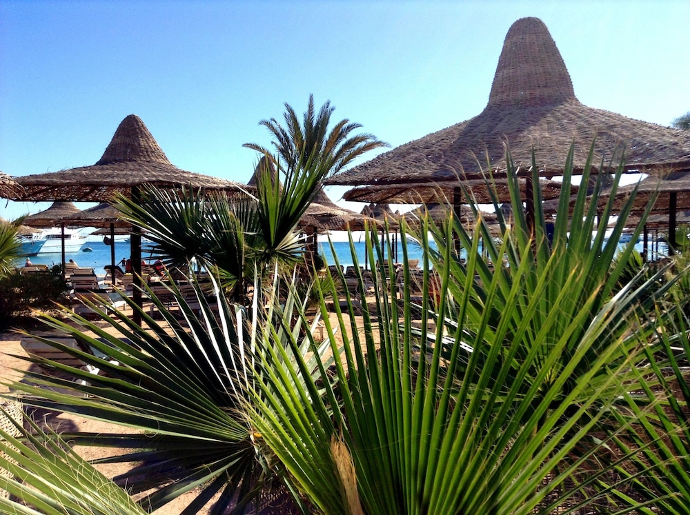 Giftun Azur Resort - All inclusive — Beach in Hurghada, Red Sea