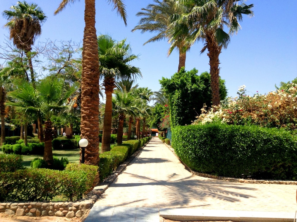 Giftun Azur Resort - All inclusive — Hotel building in Hurghada, Red Sea