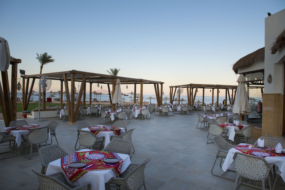 Amphoras Beach - Ultra All Inclusive — Restaurant & bars in Sharm El Sheikh, Red Sea