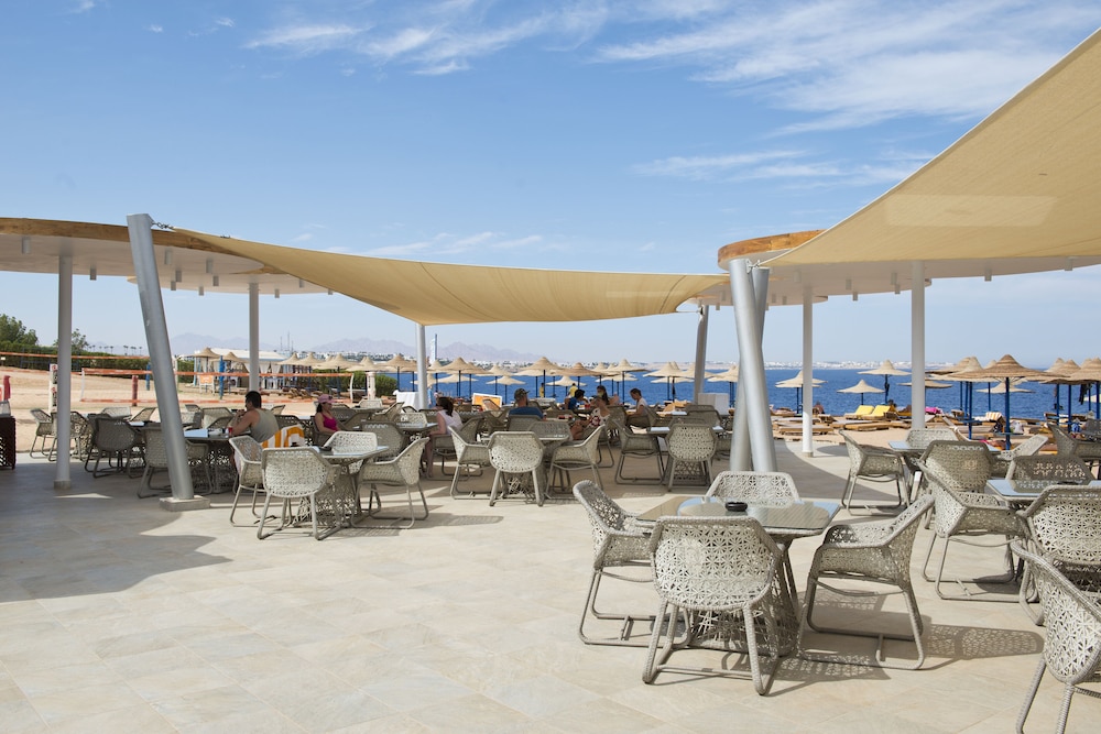 Amphoras Aqua Adults Friendly — Restaurant & bars in Sharm El Sheikh, Red Sea