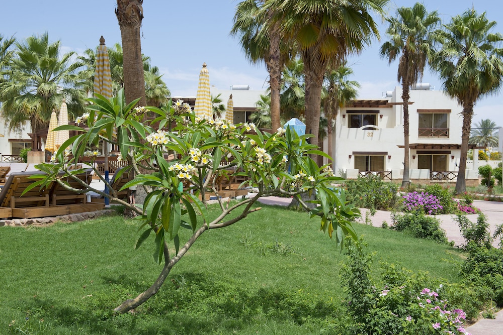 Amphoras Aqua Adults Friendly — Hotel building in Sharm El Sheikh, Red Sea