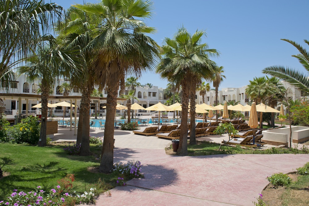 Amphoras Aqua Adults Friendly — Swimming pool in Sharm El Sheikh, Red Sea