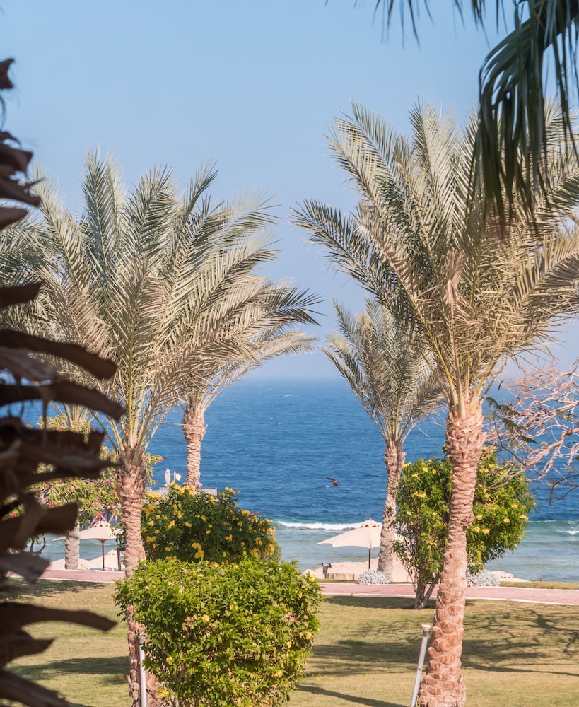 SRNTY Sea Reef - Ex Serenity Alpha Beach — Beach in Makadi Bay, Red Sea
