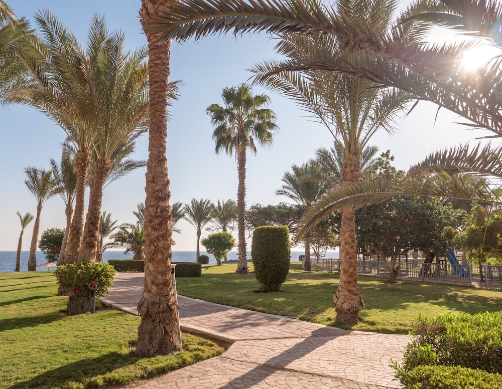 SRNTY Sea Reef - Ex Serenity Alpha Beach — Beach in Makadi Bay, Red Sea