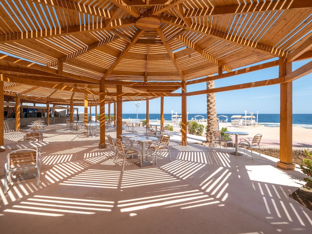 SRNTY Sea Reef - Ex Serenity Alpha Beach — Restaurant & bars in Makadi Bay, Red Sea