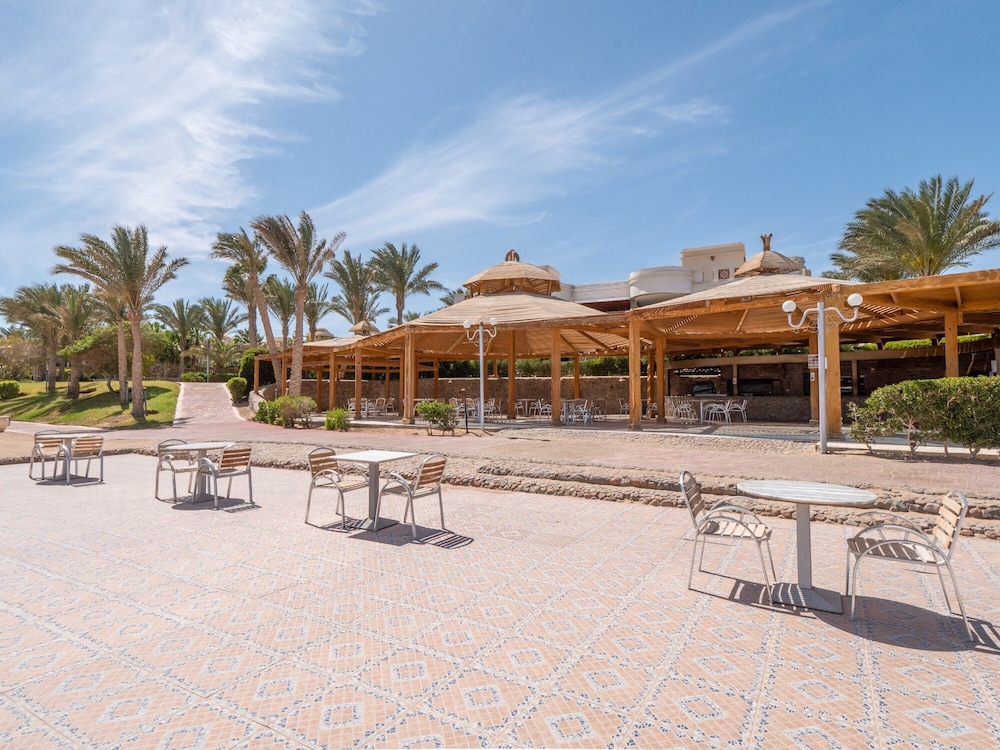 SRNTY Sea Reef - Ex Serenity Alpha Beach — Restaurant & bars in Makadi Bay, Red Sea