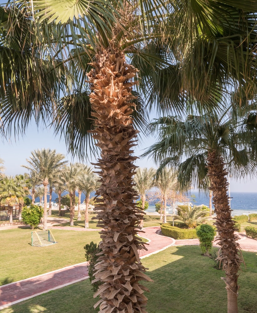 SRNTY Sea Reef - Ex Serenity Alpha Beach — Sports & recreation in Makadi Bay, Red Sea