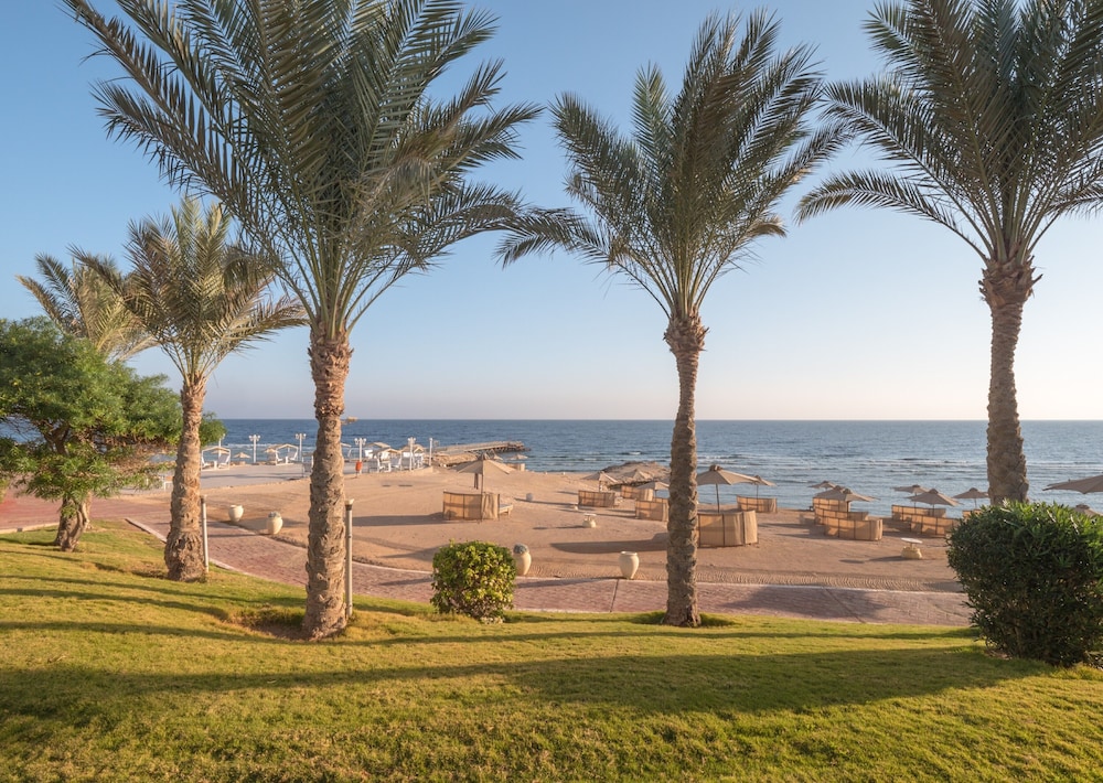 SRNTY Sea Reef - Ex Serenity Alpha Beach — Beach in Makadi Bay, Red Sea