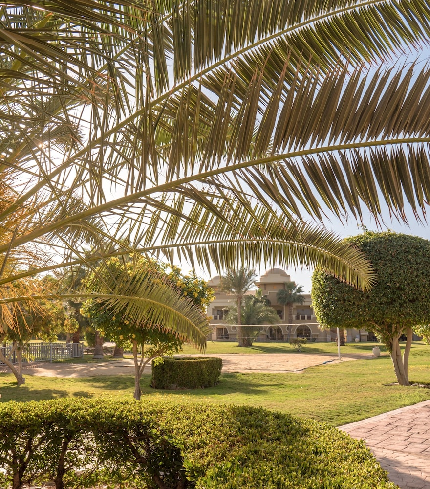 SRNTY Sea Reef - Ex Serenity Alpha Beach — Hotel building in Makadi Bay, Red Sea