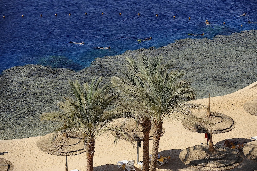Reef Oasis Beach Aqua Park Resort — Beach in Sharm El Sheikh, Red Sea