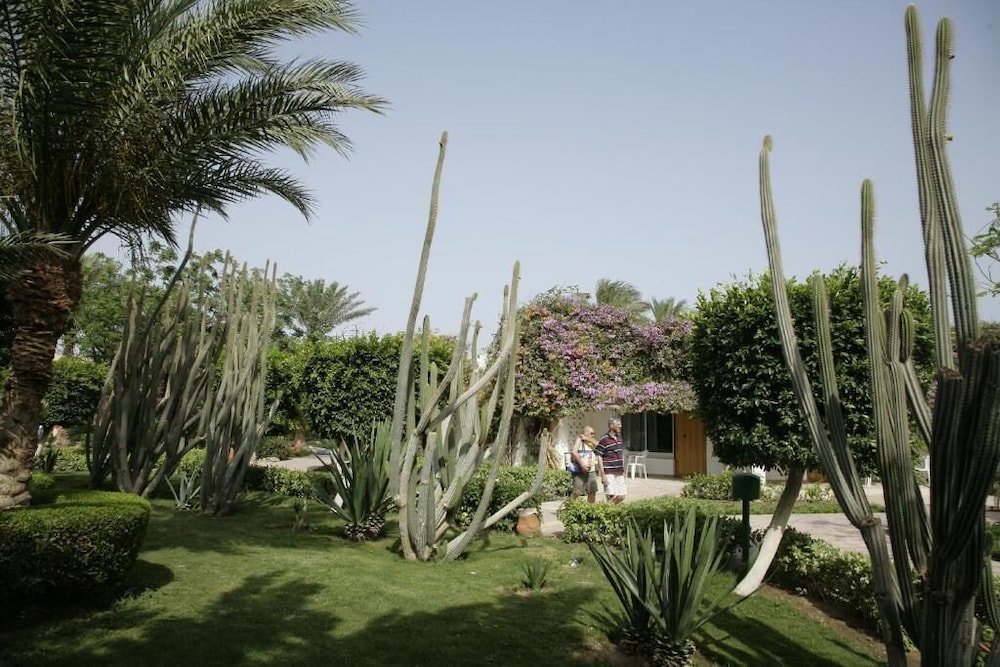 Shams Safaga Resort - All inclusive — Hotel building in Safaga, Red Sea