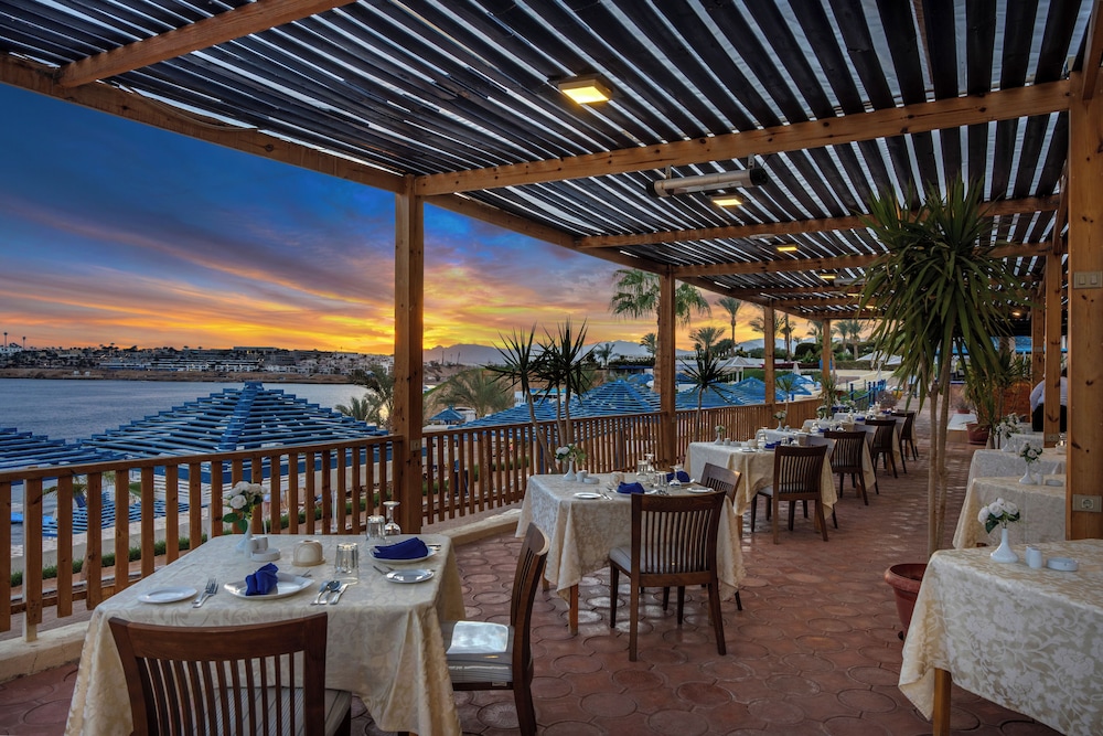 Grand Oasis Resort — Restaurant & bars in Sharm El Sheikh, Red Sea